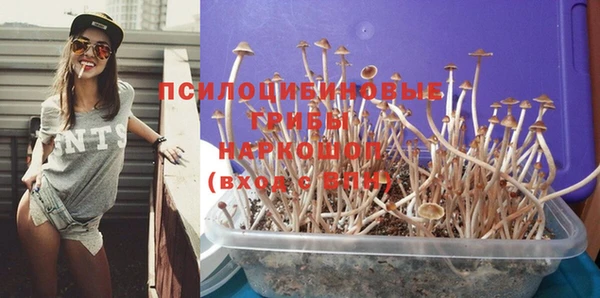 сатива Алексеевка