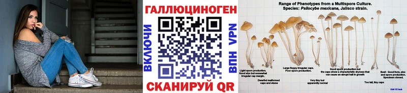 Псилоцибиновые грибы Psilocybine cubensis  как найти закладки  Тогучин 